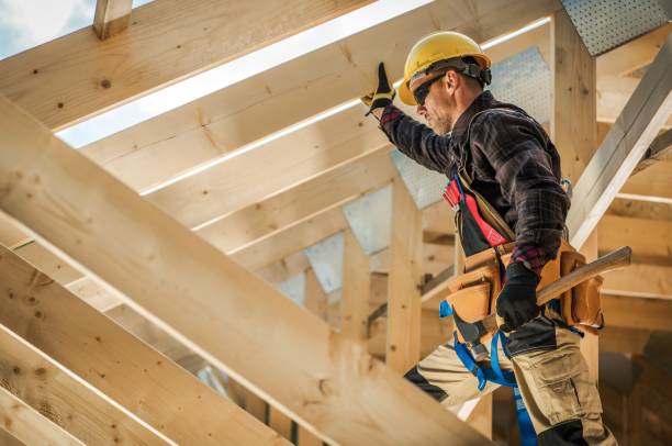 Professional Roofing Contractor in Coyne Center, IL