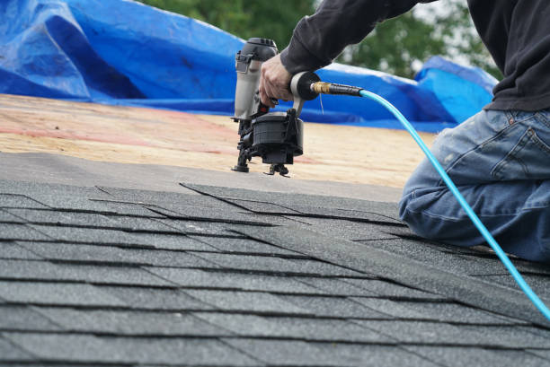 Best Storm Damage Roof Repair  in Coyne Center, IL