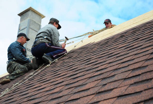 Quick and Trustworthy Emergency Roof Repair Services in Coyne Center, IL