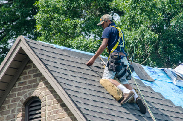 Roof Repair Estimates in Coyne Center, IL